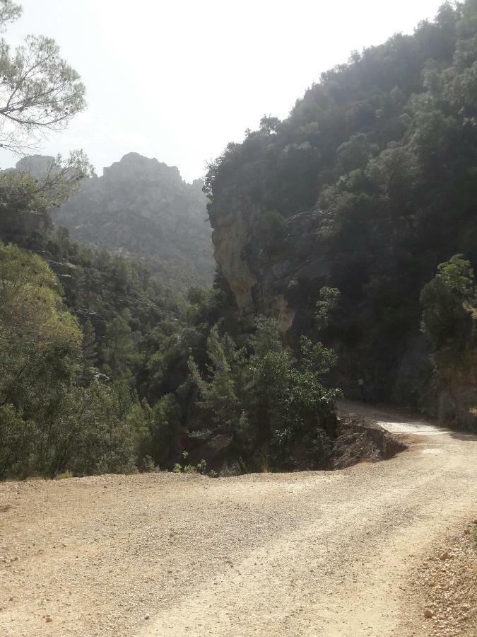 Sierra De Cazorla Villa Arroyo Frio Exterior foto